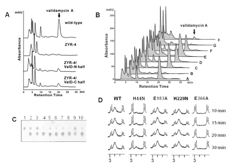 Figure 5