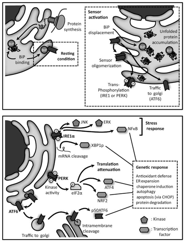 Fig 5.2