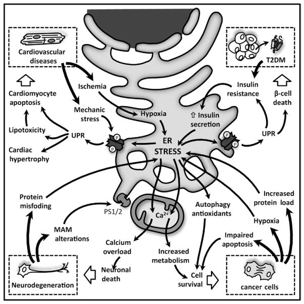 Fig 5.5