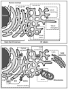 Fig 5.1