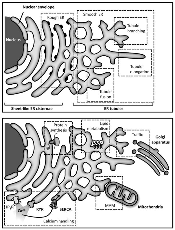 Fig 5.1