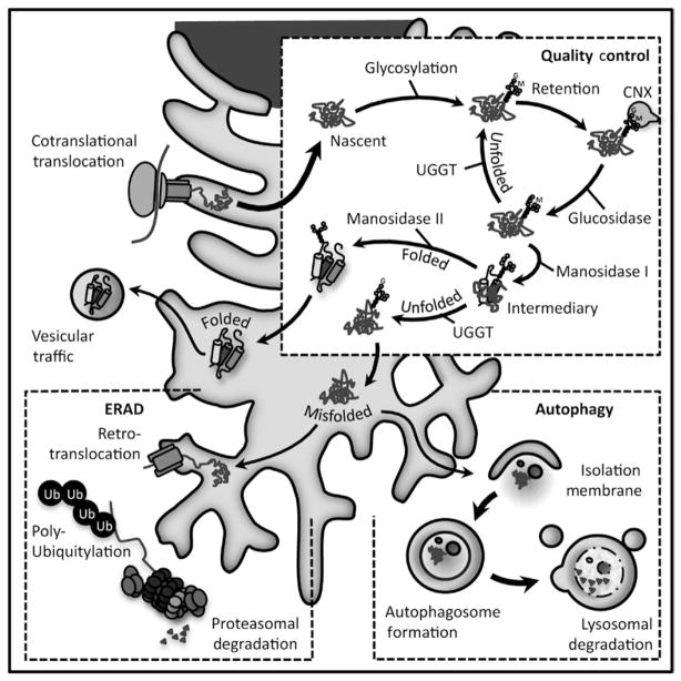 Fig 5.3