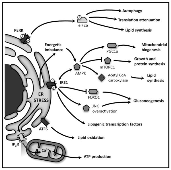 Fig 5.4