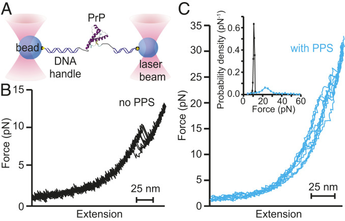 Fig. 2.