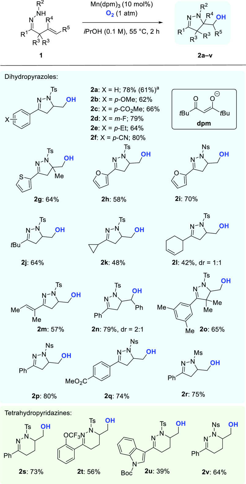 Scheme 2