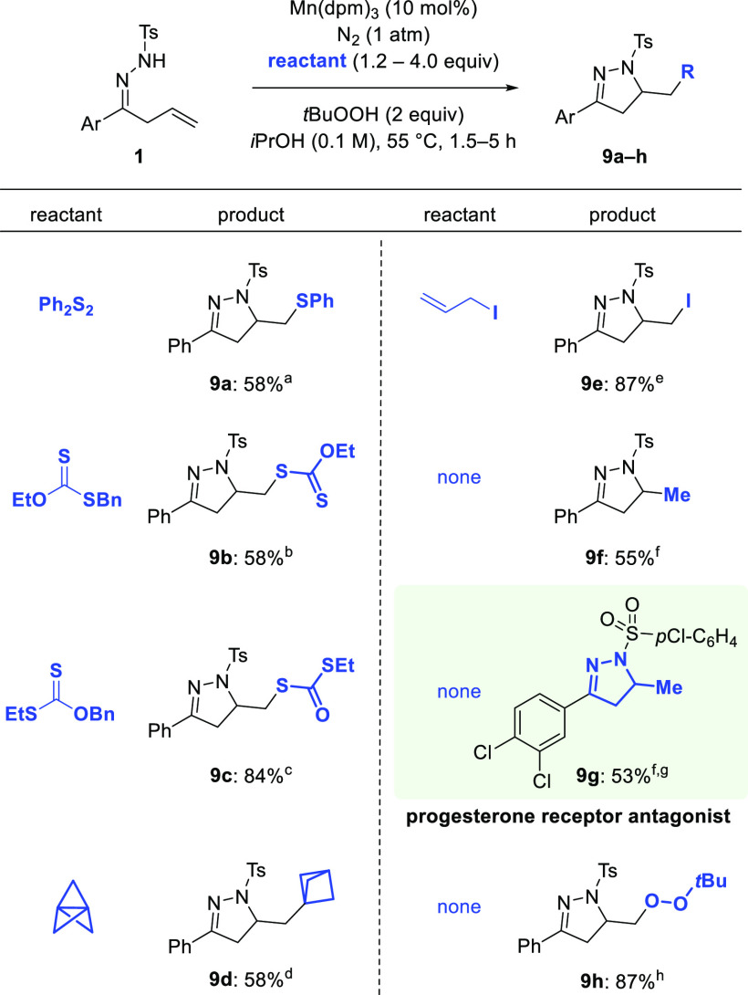 Scheme 5