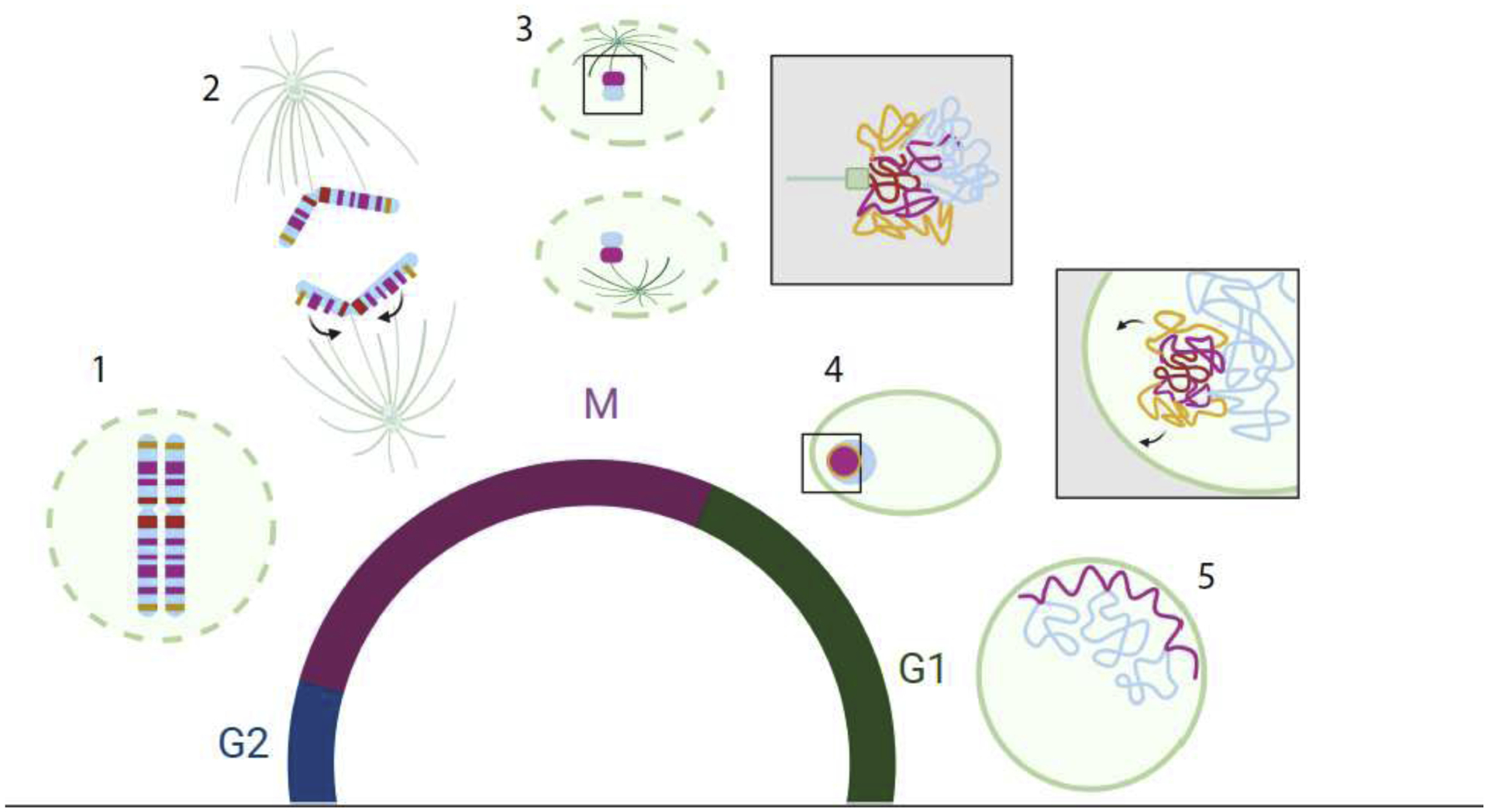 Figure 3: