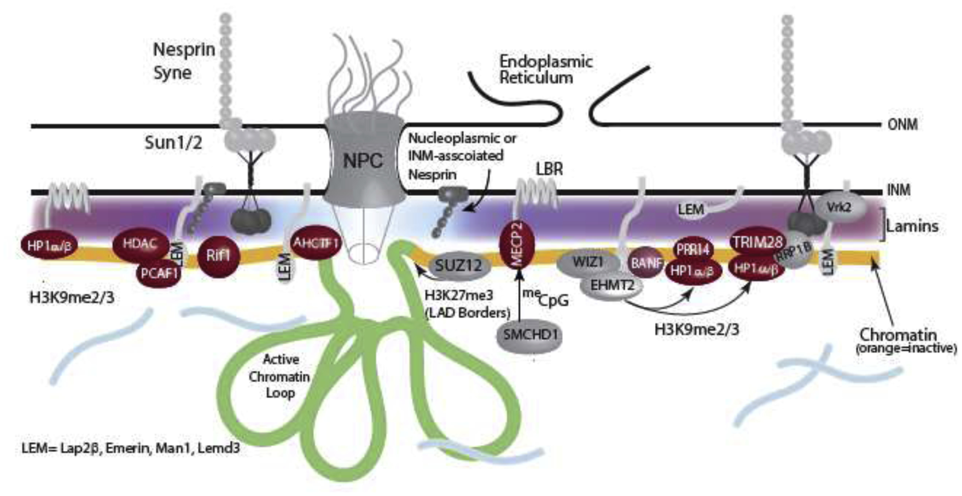 Figure 2: