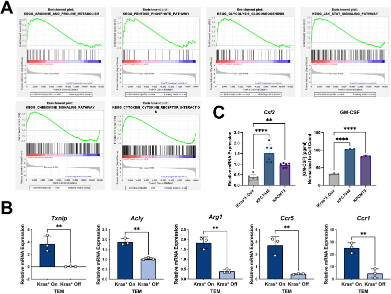 Figure 4—figure supplement 1.