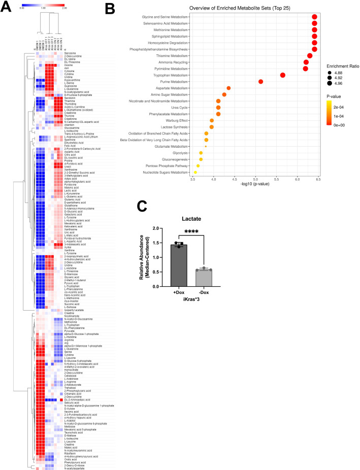 Figure 5—figure supplement 1.