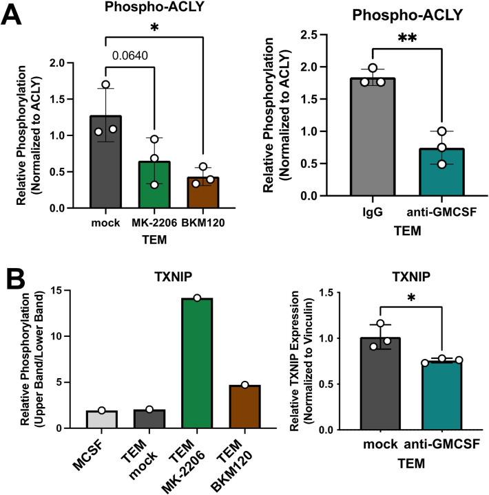 Figure 6—figure supplement 1.