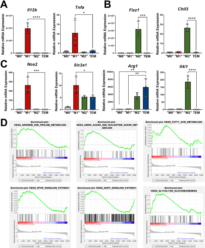 Figure 1—figure supplement 1.