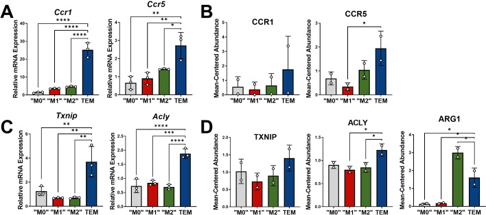 Figure 2—figure supplement 2.