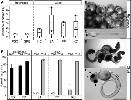 Fig. P1.