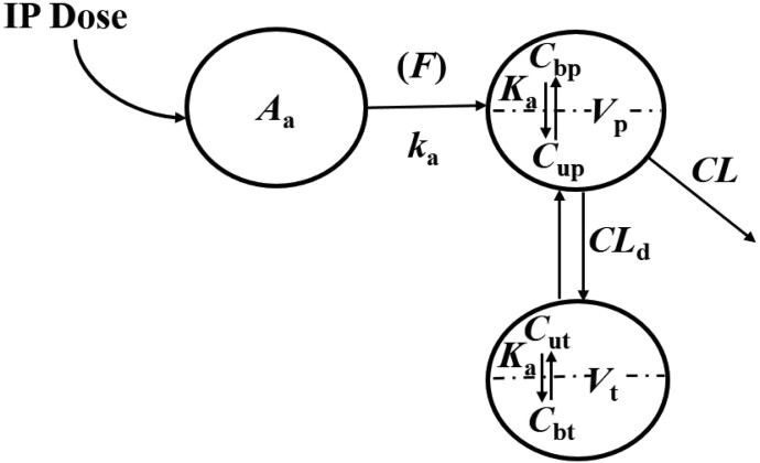 Fig. 1.