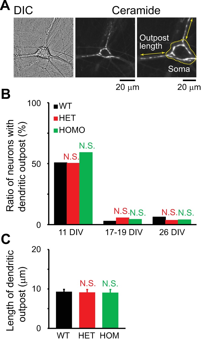 Fig 12