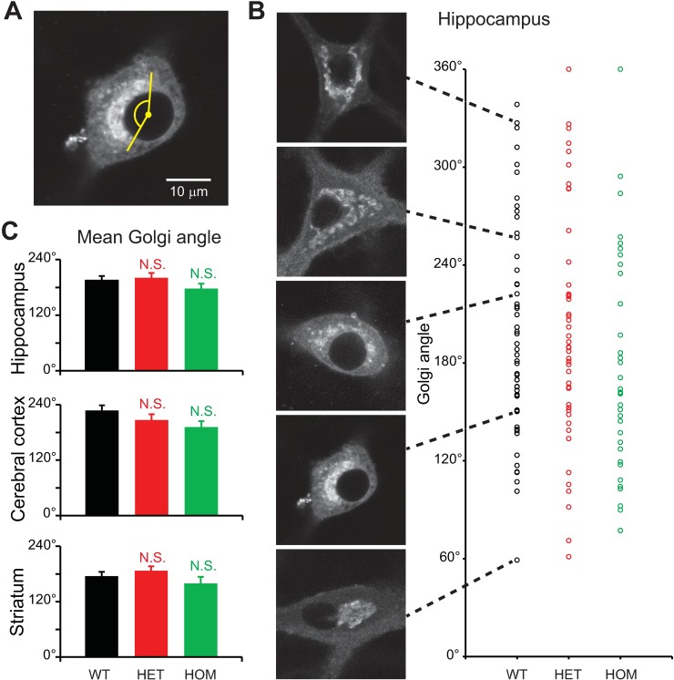 Fig 8