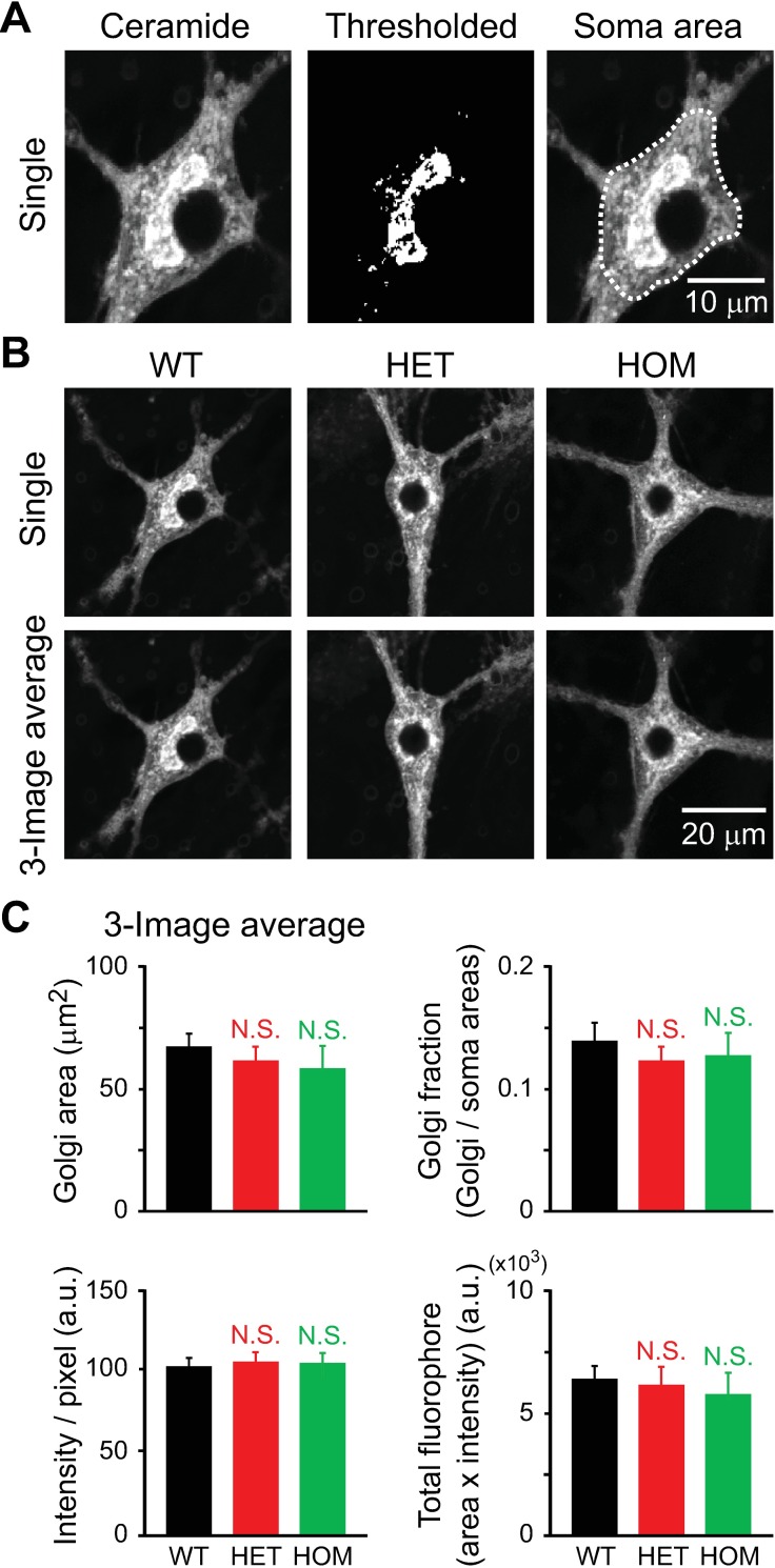 Fig 4