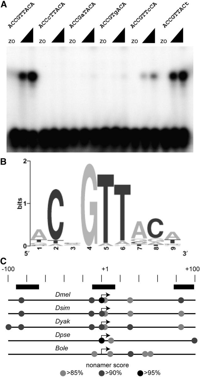 Figure 5.—