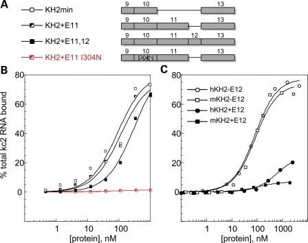 Figure 1.