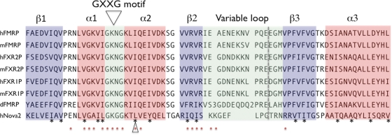 Figure 2.