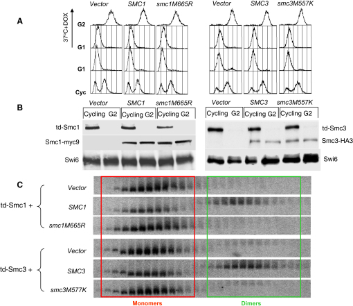 Figure 6