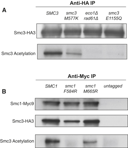 Figure 5