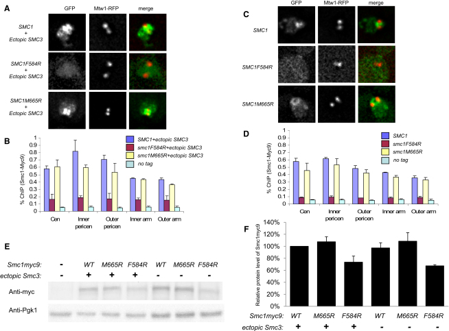 Figure 4