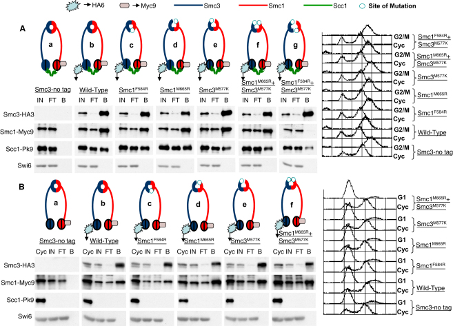 Figure 3