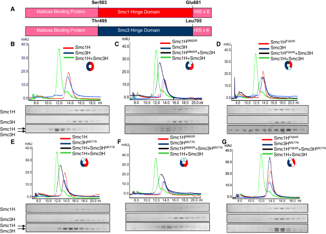 Figure 2