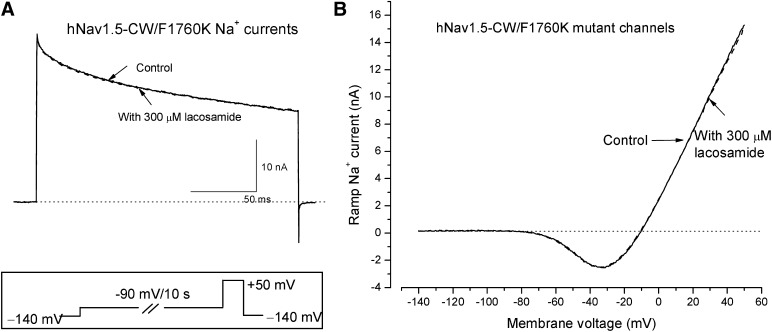 Fig. 10.