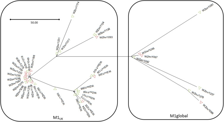 Fig. 1