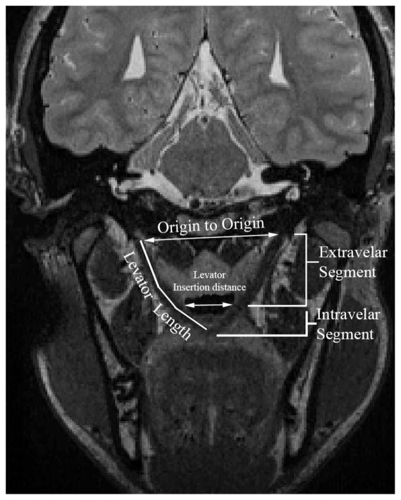 FIGURE 2