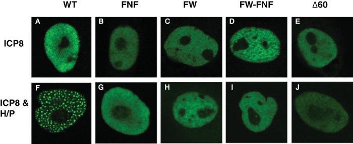 FIG 5