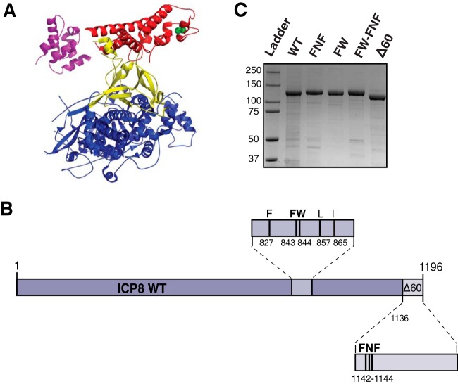 FIG 1