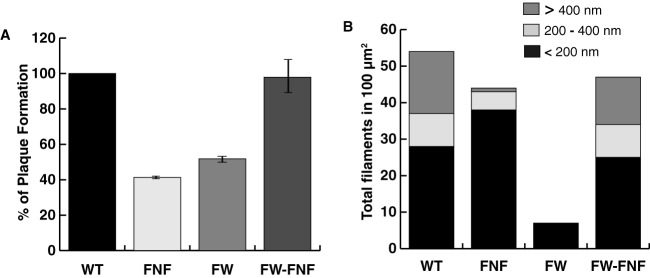 FIG 3