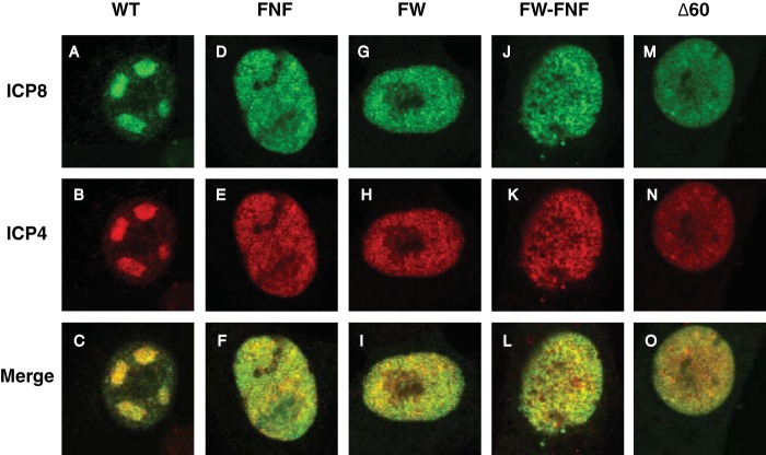 FIG 6