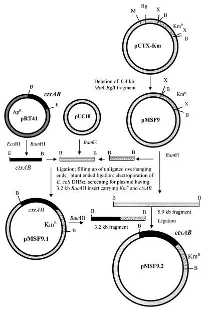 FIG. 1