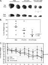 FIG. 7.