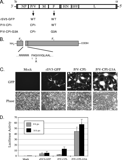 FIG. 1.