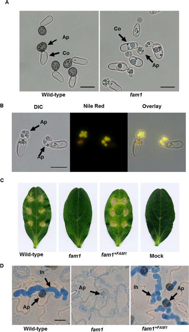 FIG 3 