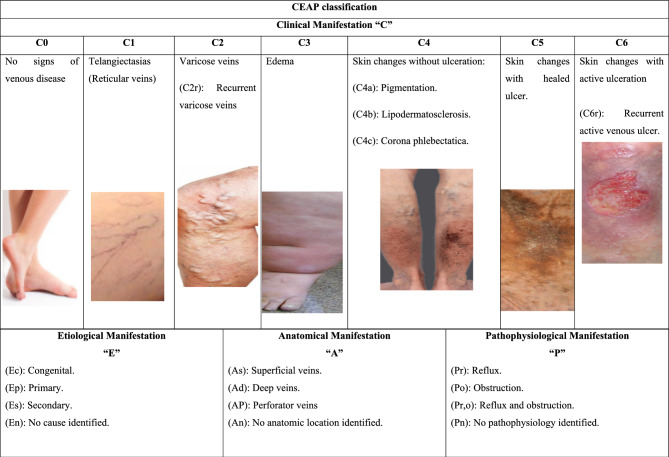 graphic file with name 10787_2025_1688_Tab1_HTML.jpg