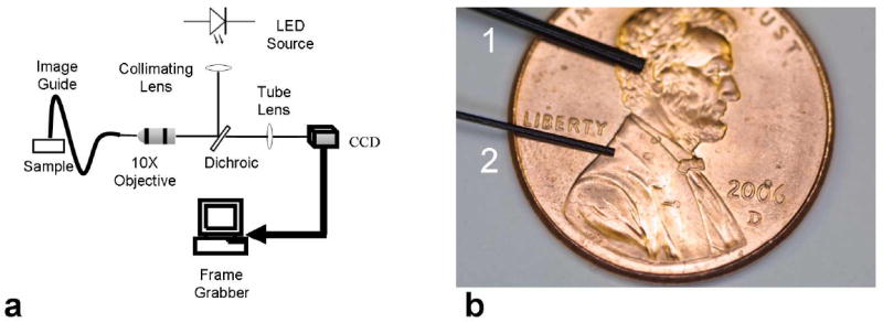 Fig. 1