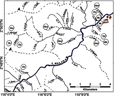 Fig. 7