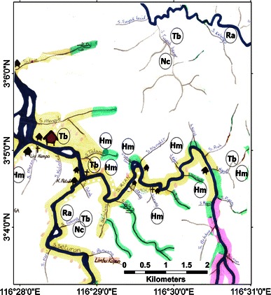 Fig. 8