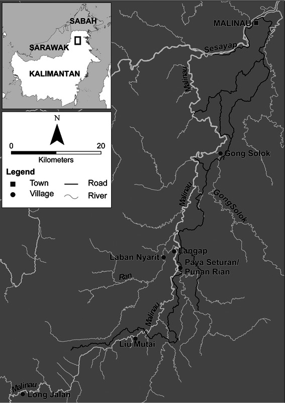 Fig. 1