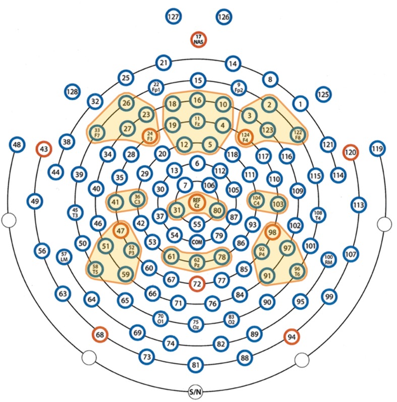 FIGURE 3