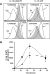 <b>FIG. 1.</b>