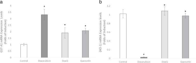 Fig. 14