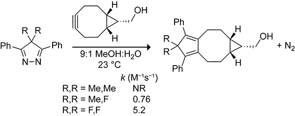 Scheme 54.